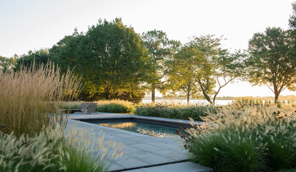 Pool edged by backlit ornamental grasses at golden hour